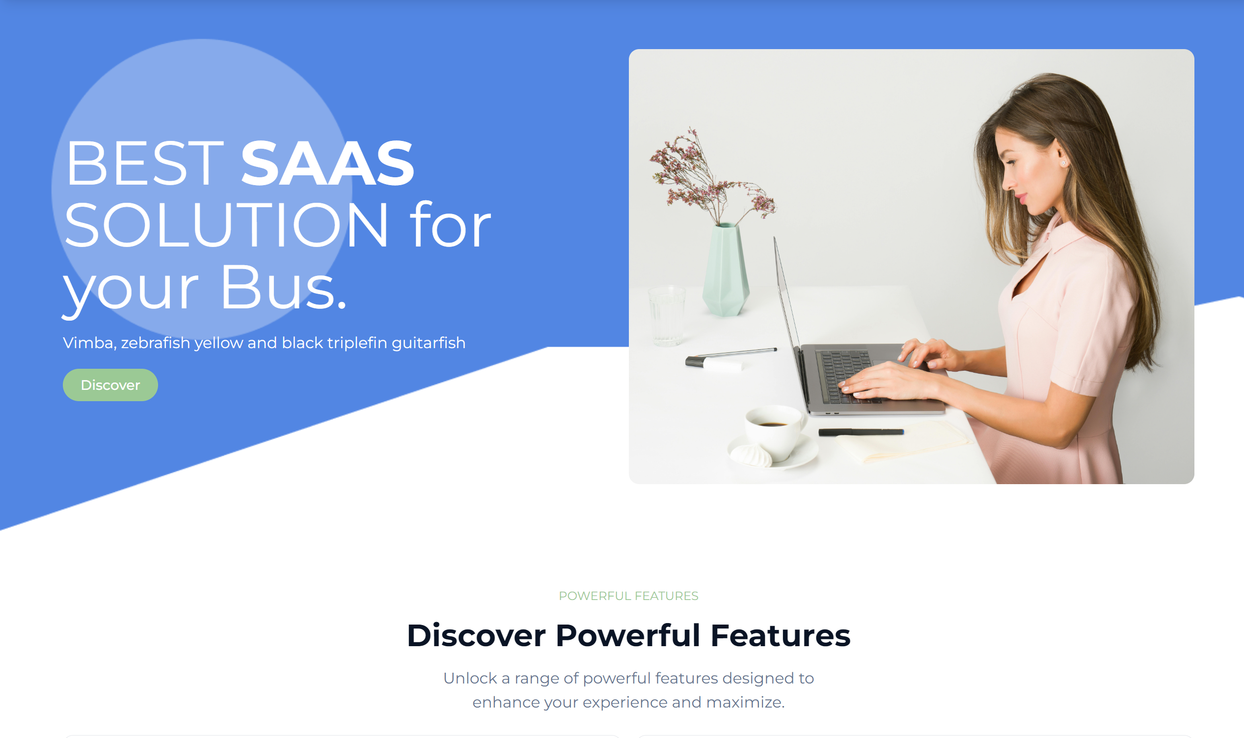Saas